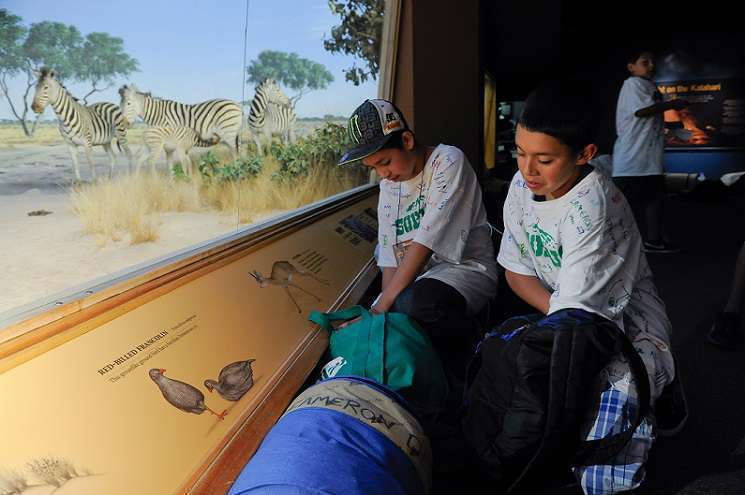 A student sits in front of the museum.