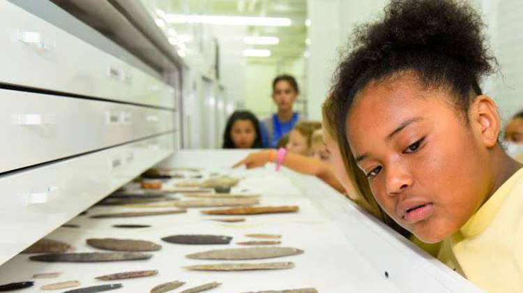 A young girl gazes curiously at a display showcasing various historical artifacts in a museum setting.