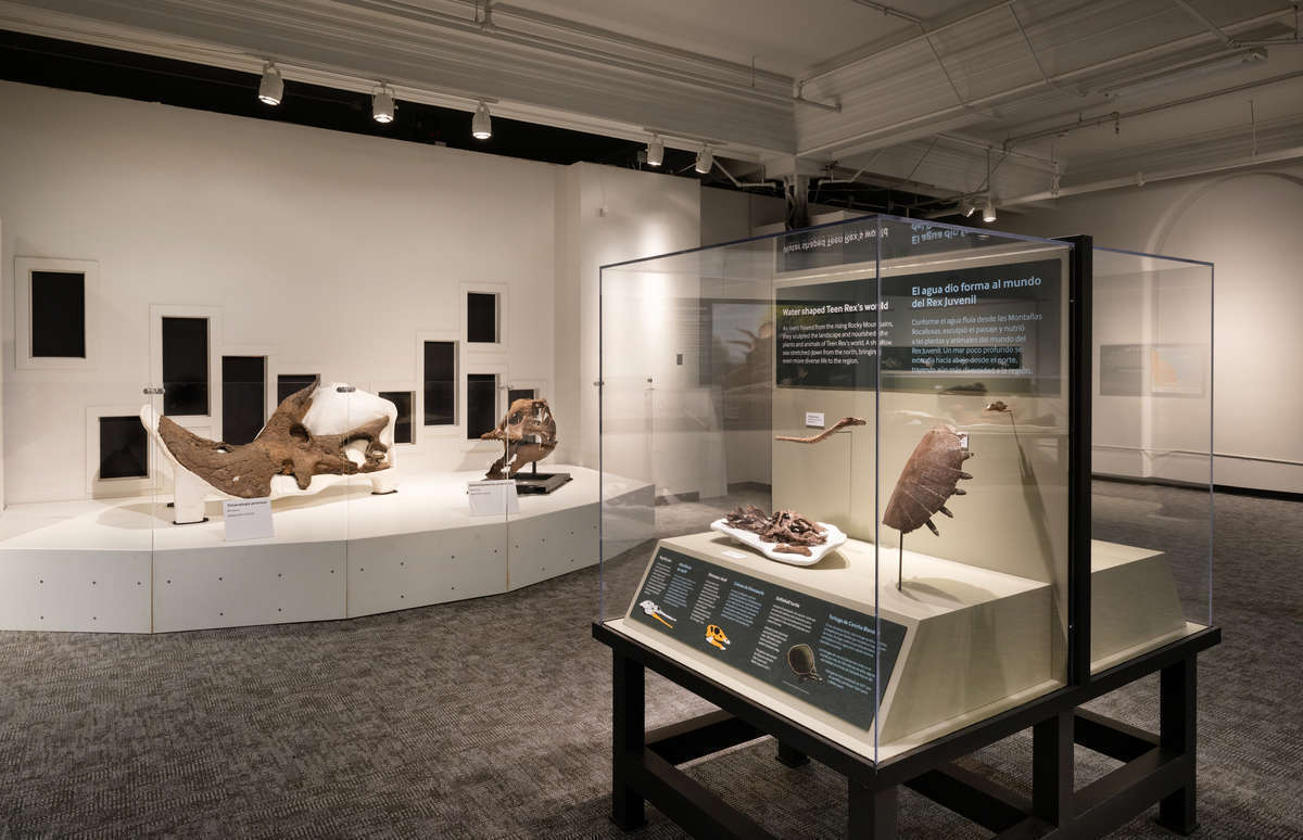 EAS2023 4 044 1200X774 1E97508 (1)