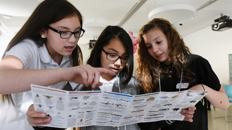 Students read a map together