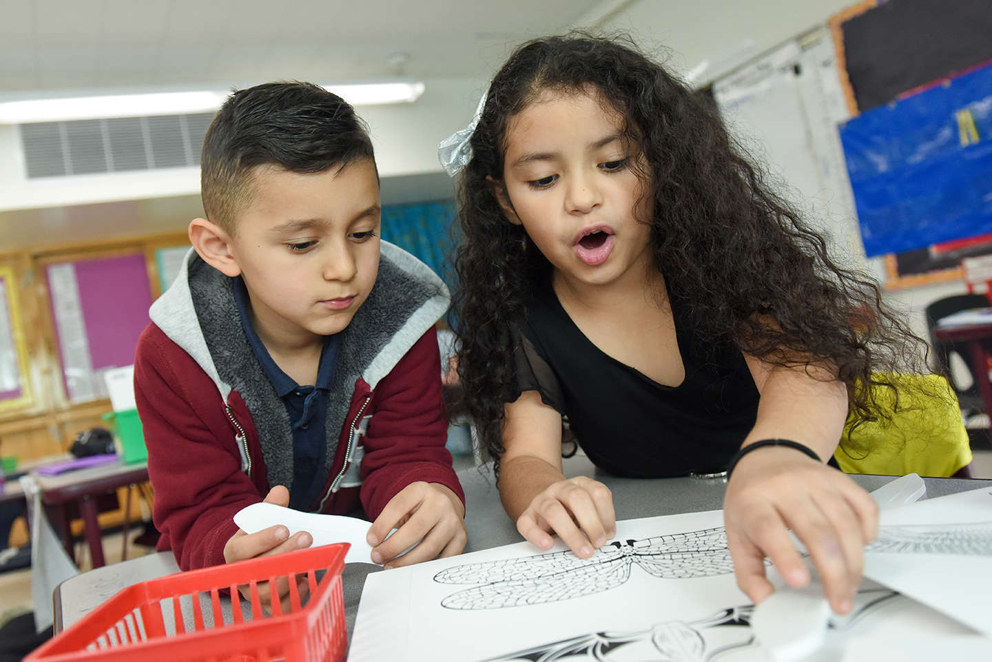 Students look in awe at a paper showing different shapes of bird wings