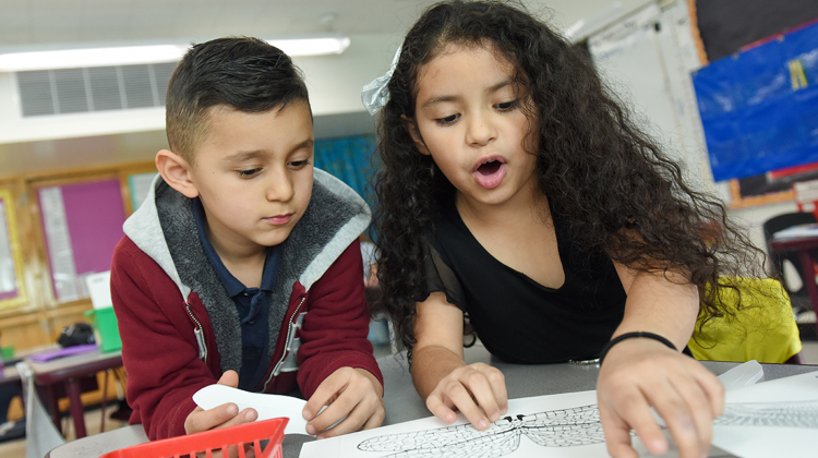 Students look in awe at a paper showing different shapes of bird wings