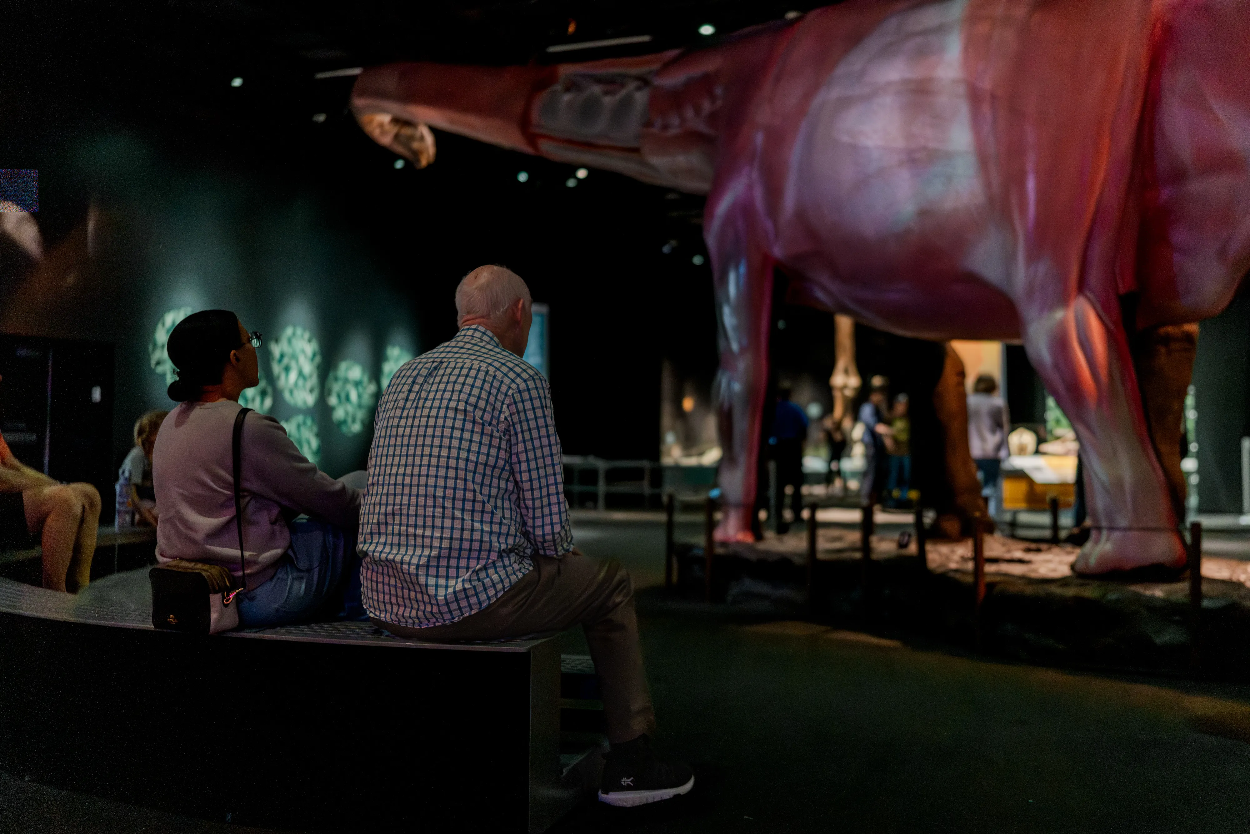 Exhibition Walkthrough