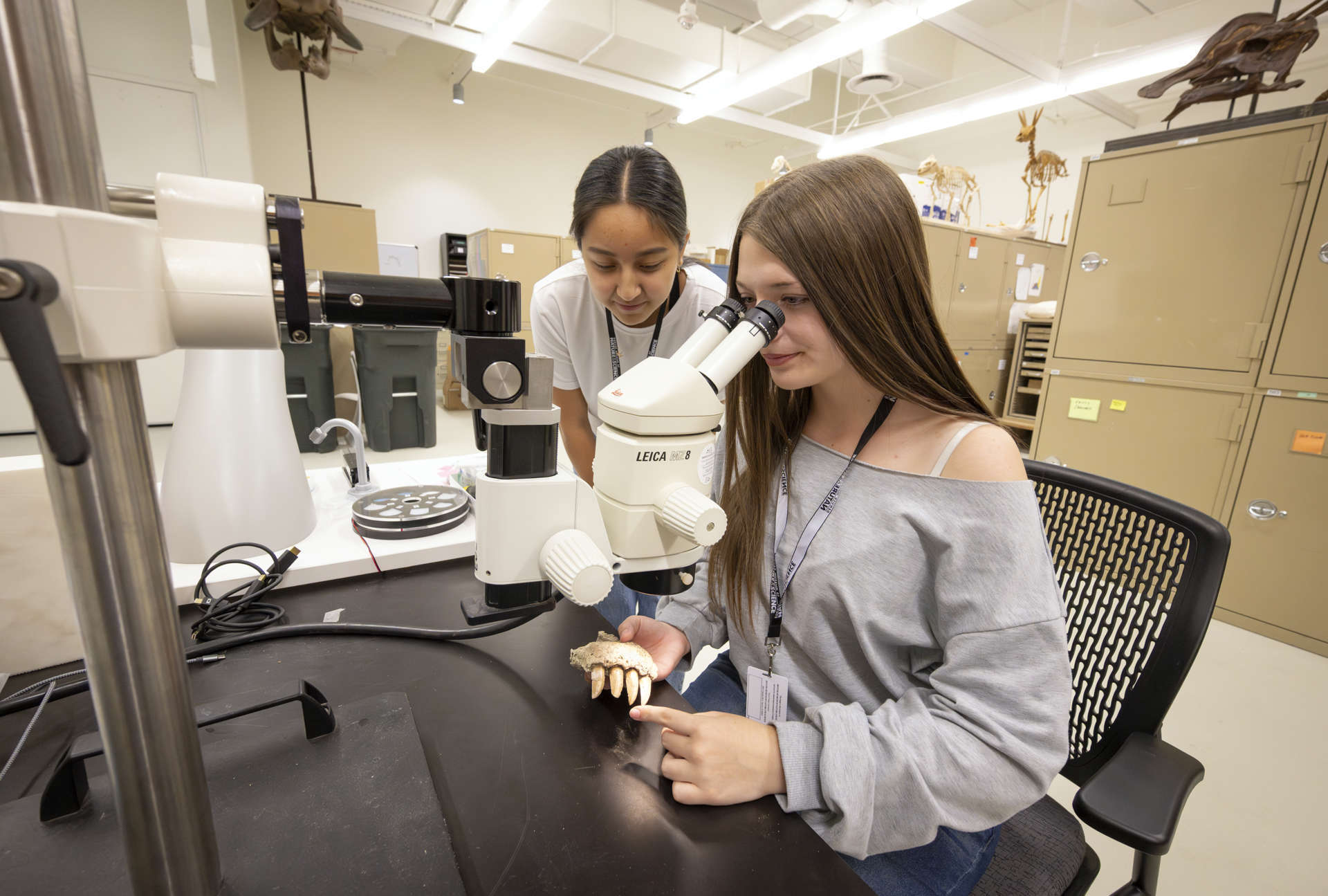 People looking through a microscope