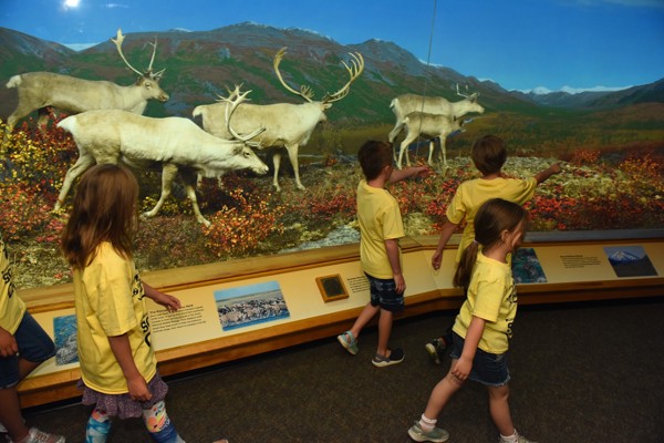 DMNS Summer Camp kids explore Diorama halls 