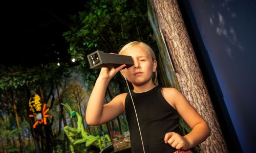 Guests looking at exhibit