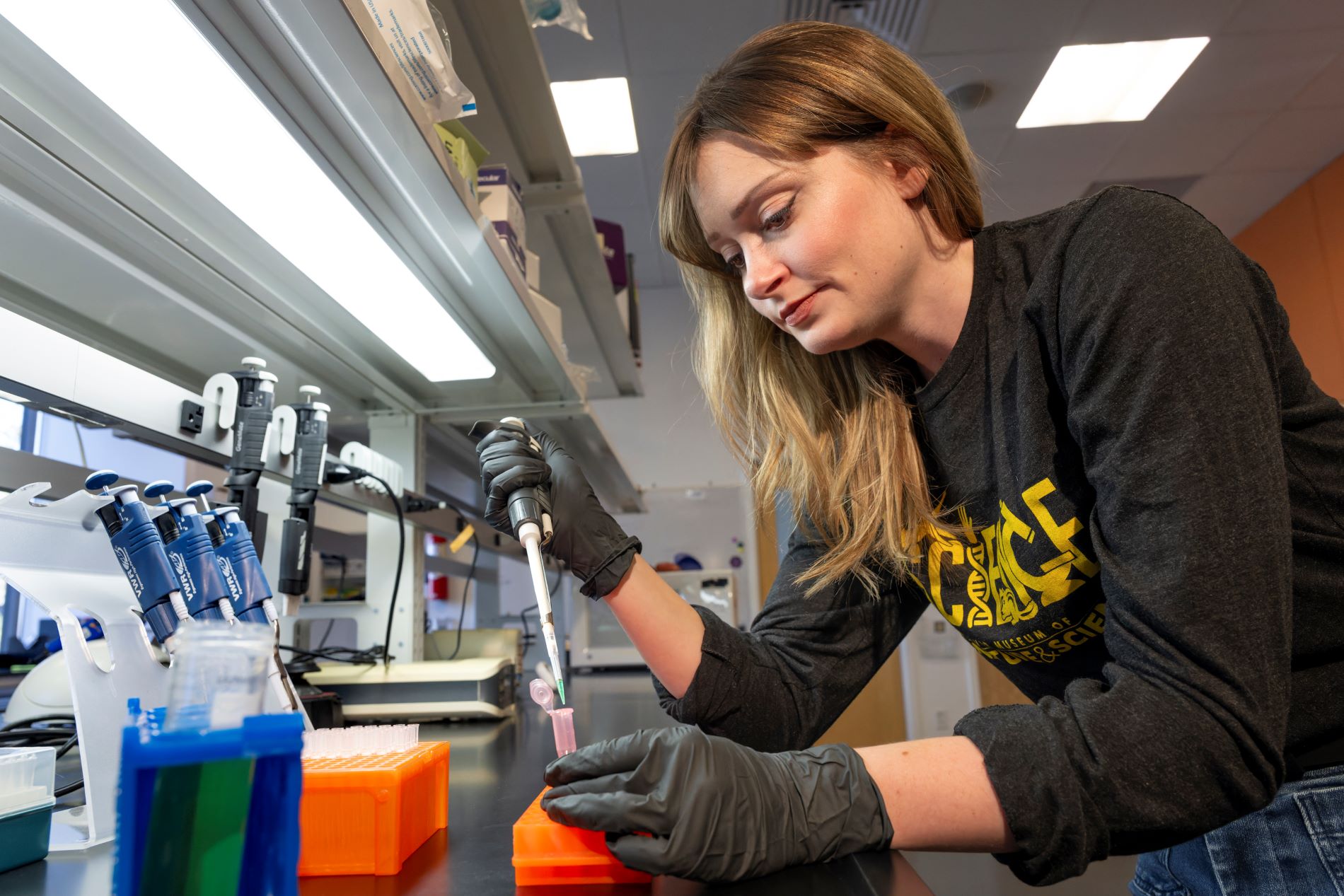 Dr. Bridget Chalifour carefully pipetting a sample in the lab. (Photo/ Rick Wicker)