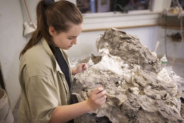 Intern prepping fossil