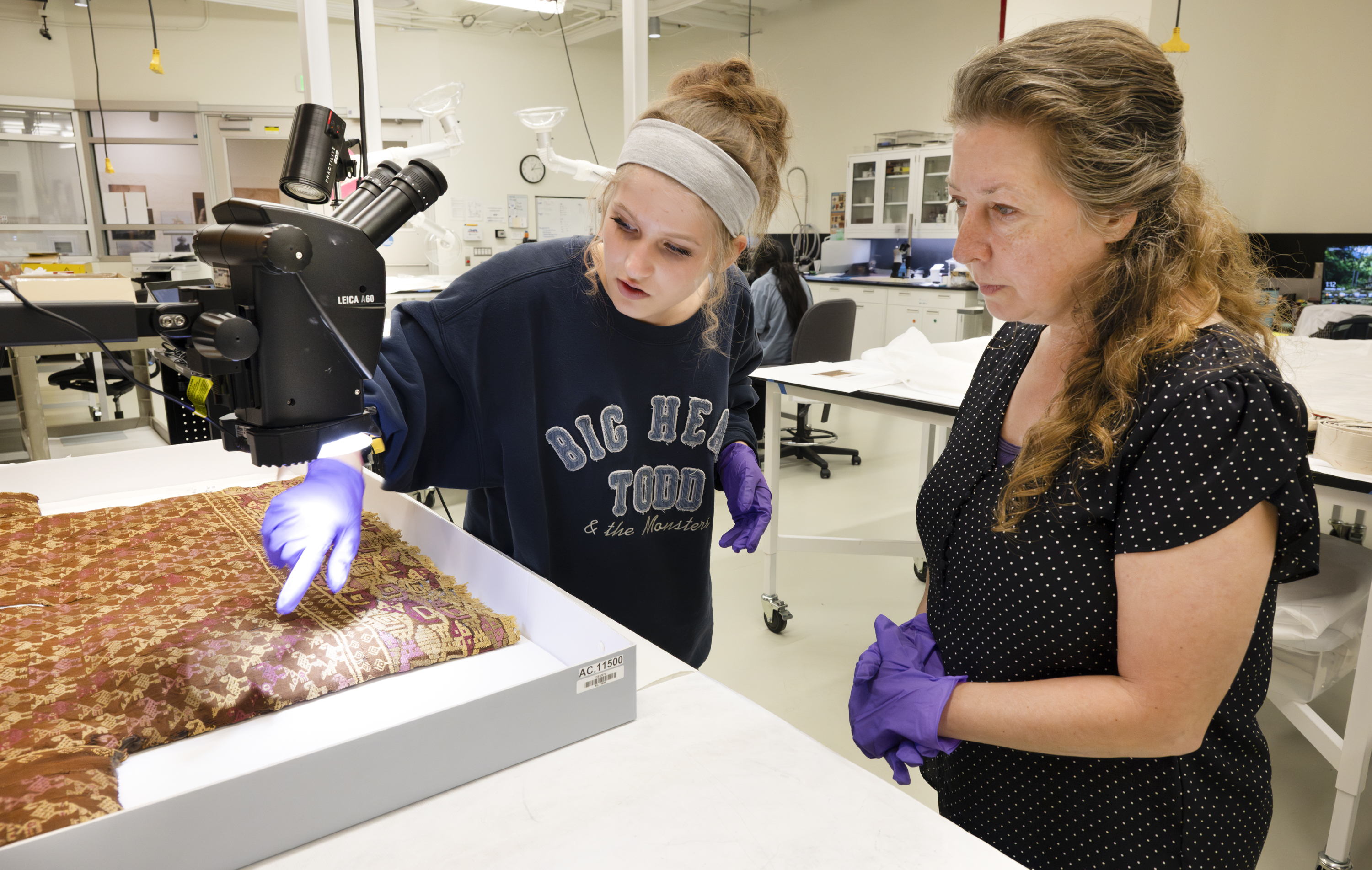 People working with collections