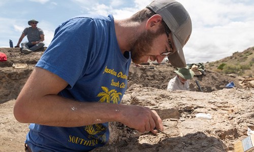 Salvador looks down and cleans a fossil in the field 