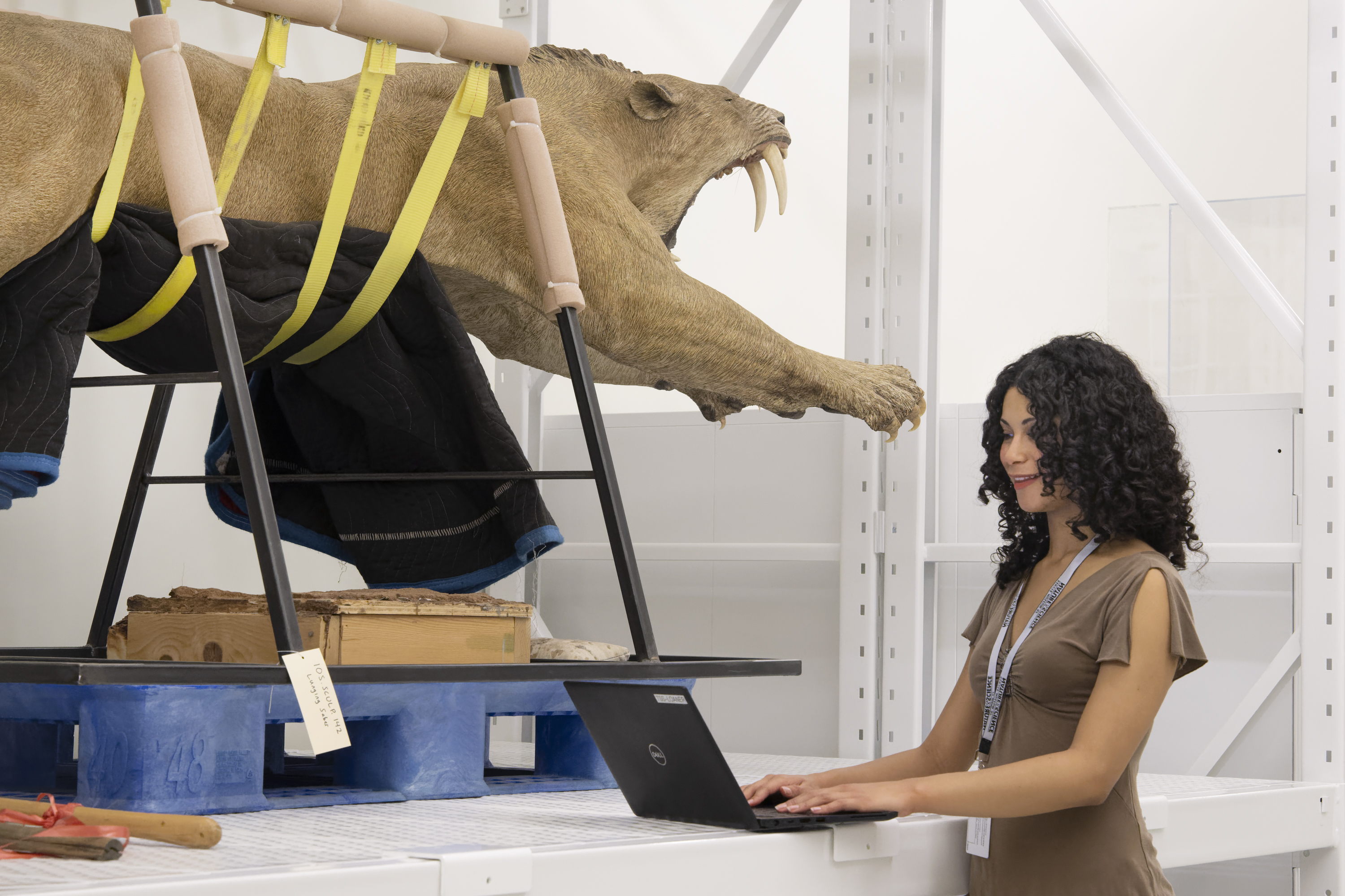Person working on computer