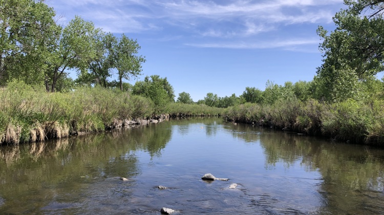 A photo of a river portion of Bluff Lake Nature Center