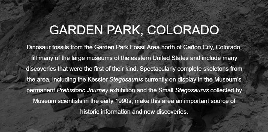 Garden Park Co