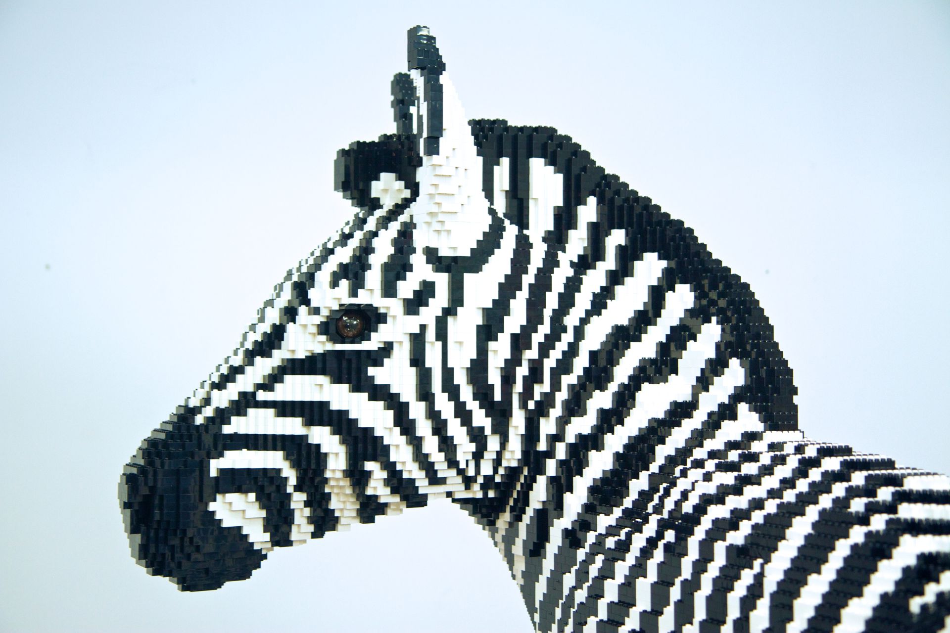 Zebra statue