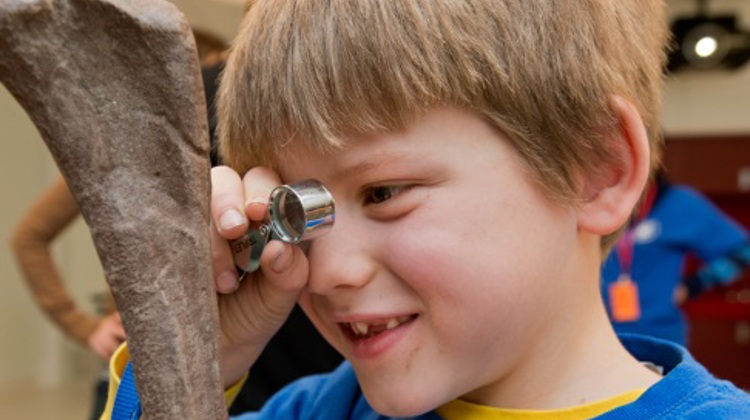 Child with short hair using a hand lens to look at the details in a fossilized bone