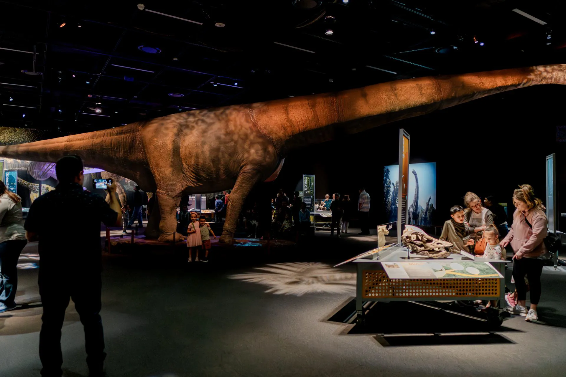 Exhibition Walkthrough