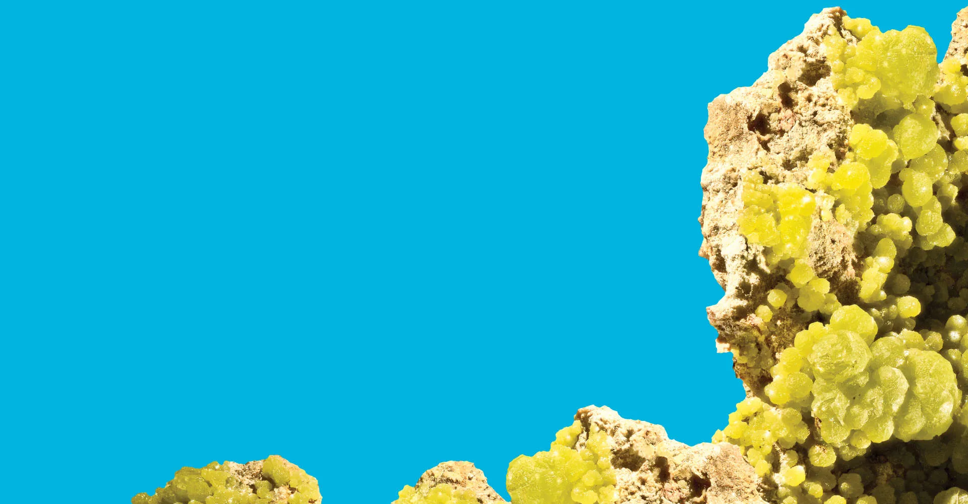 GM Anonymous Donor Digital Signage V2 Website Banner Image Only 1920X1000