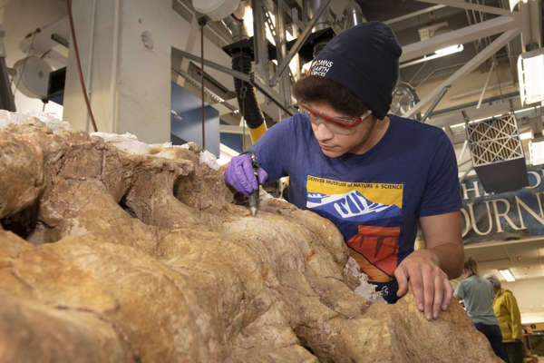 Intern Prepping Fossil