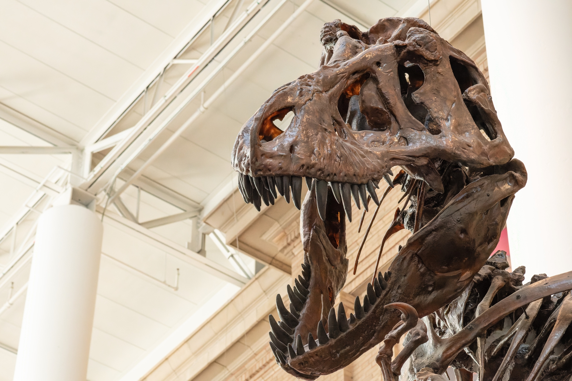 DSC 3421 NEF Dxo Deepprime 1901X1267 Ae5d90b (1) loading=