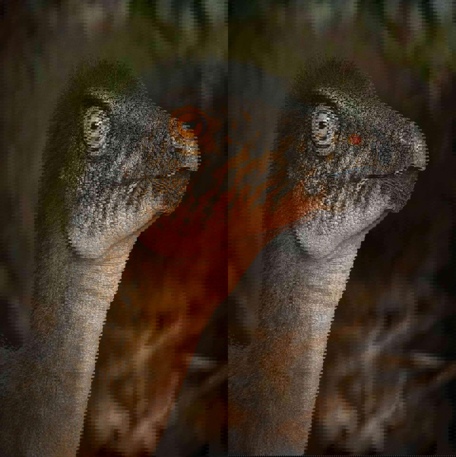 Thescelosaurus Small 1 Tiny