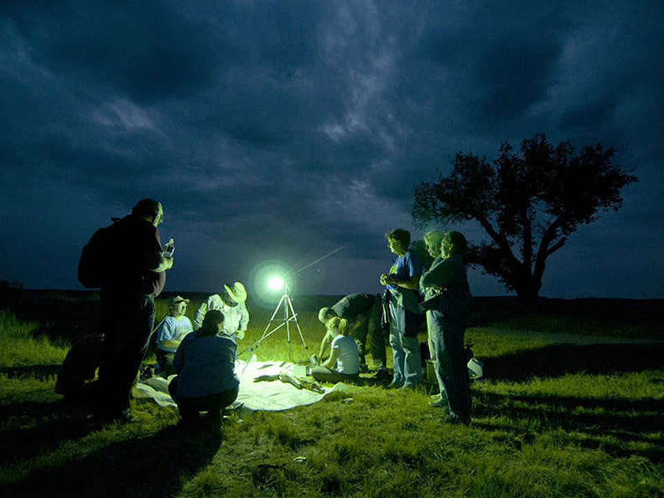 a group of people sitting and standing around a collecting trap set up in a field at night with a green light