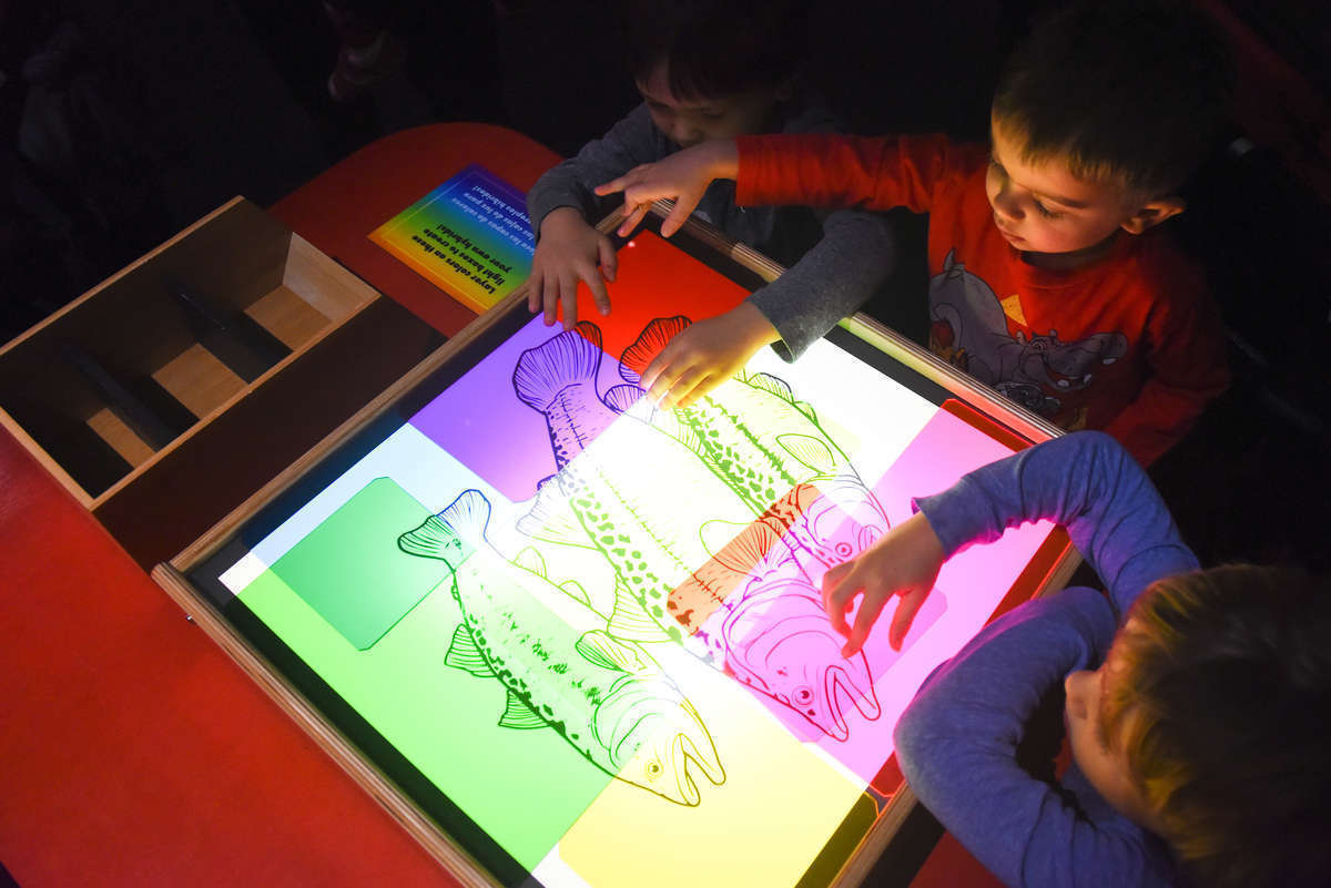 A child plays with a light table and color transparencies.