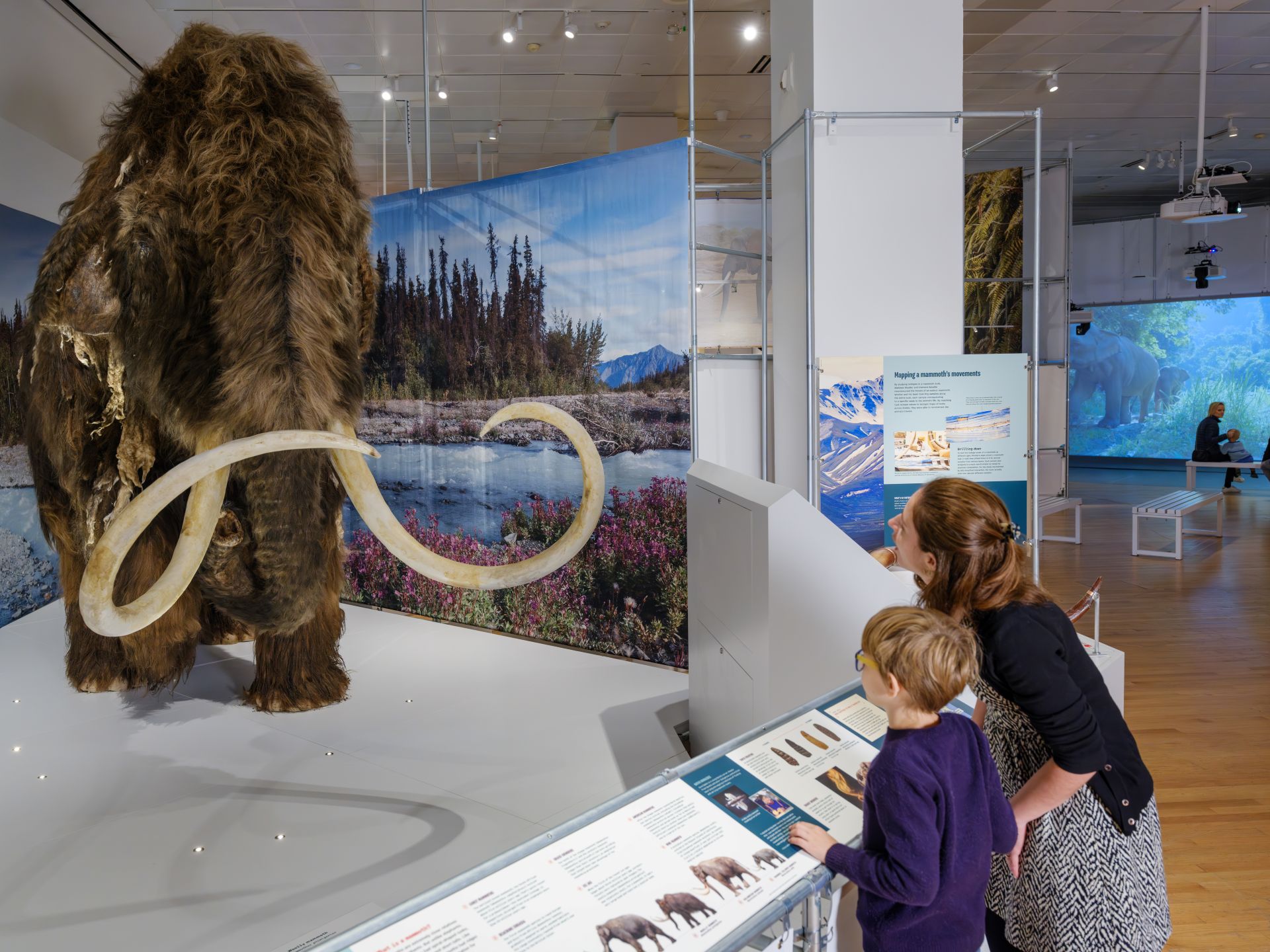 2B. Woolly Mammoth AK 231102 0451 Edit