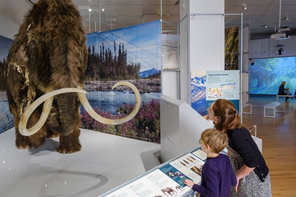 Guests looking at exhibit