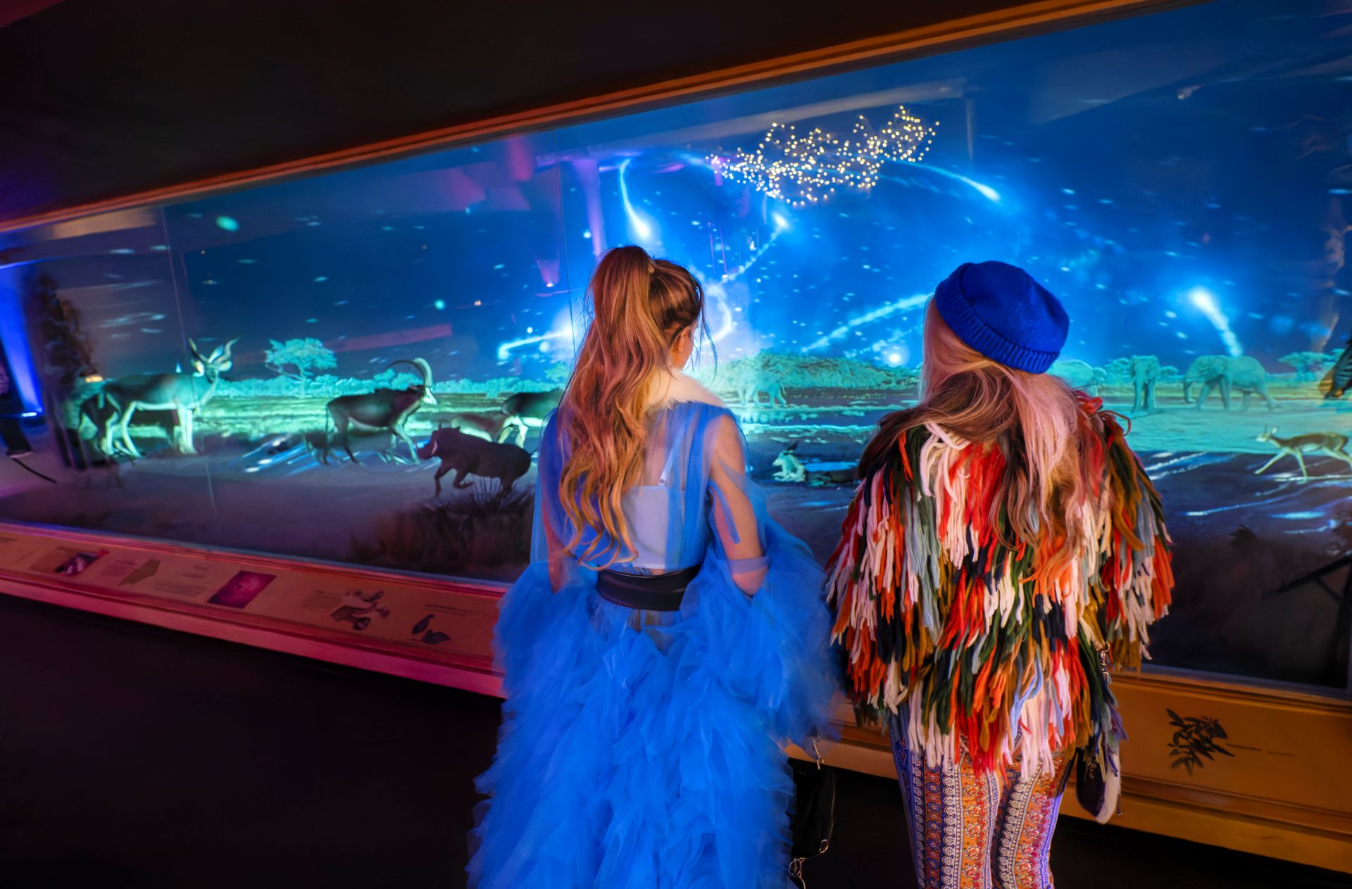 Guest view breathtaking starry-night projections over the African savanna. (Photo/ Rick Wicker)