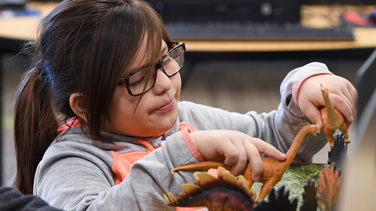 A girl plats with several plastic dinosaurs