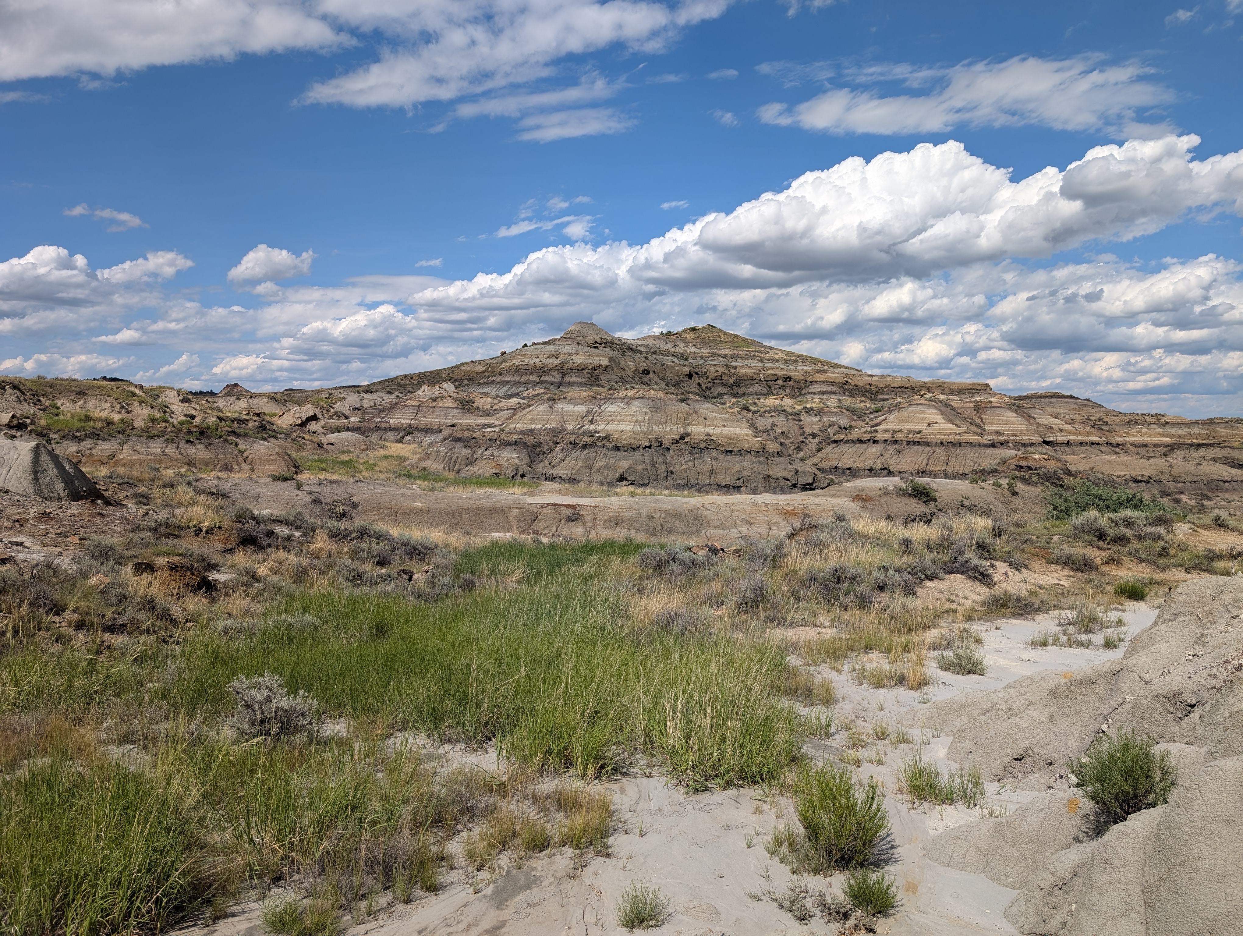 NEW Hell Creek Panorama