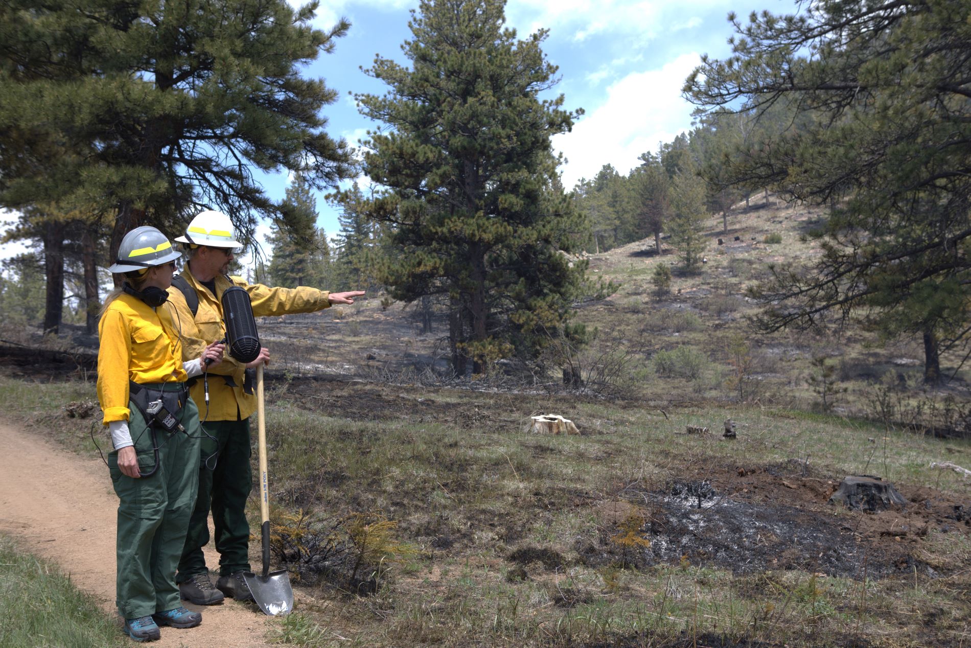 Forsyth Prescribed Burn 2