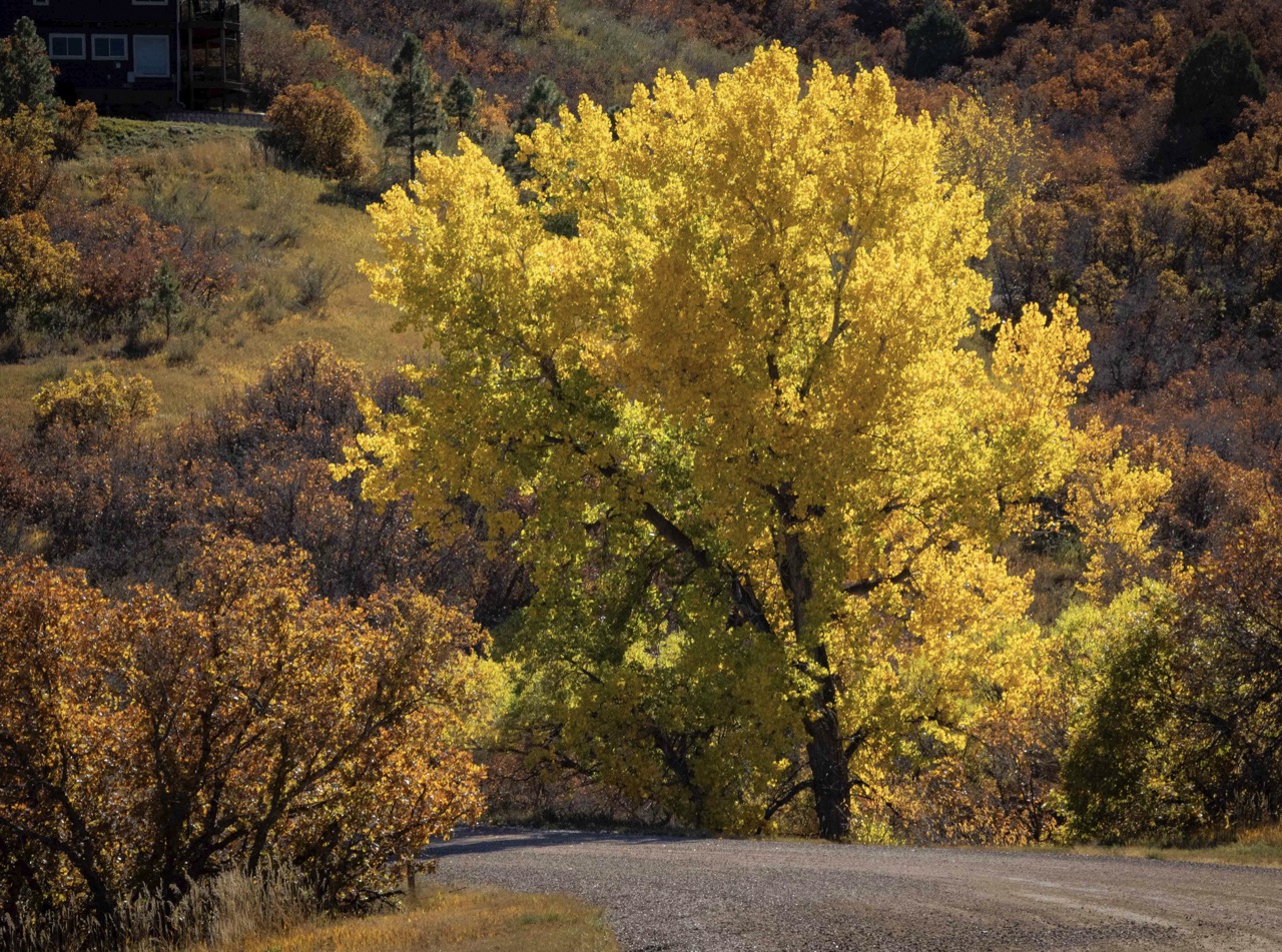 Karen Fiant X1A9025 Large