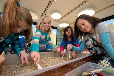 Four children dig for fossils with brushes