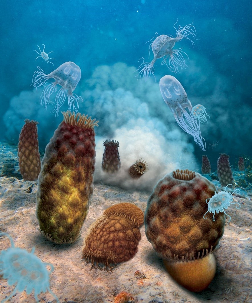 Microsoftteams Image (6)