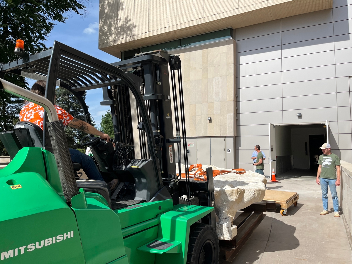Museum staff unloading the fossil jacket at the Museum